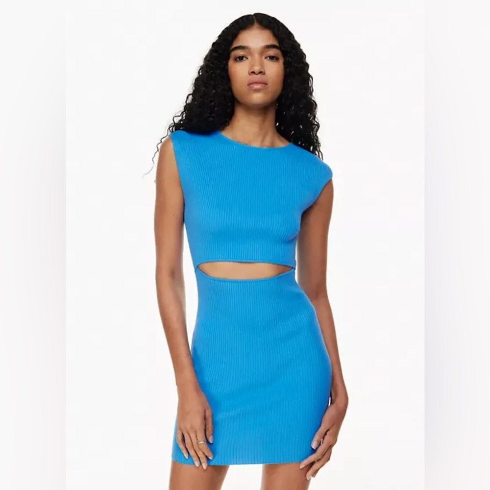 Aritzia Wilfred Cut Out Mini Dress